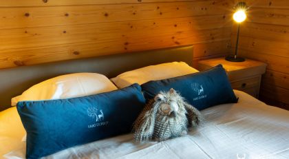 Chalet Faro Durbuy, vakantiehuis met wellness huren in de Ardennen