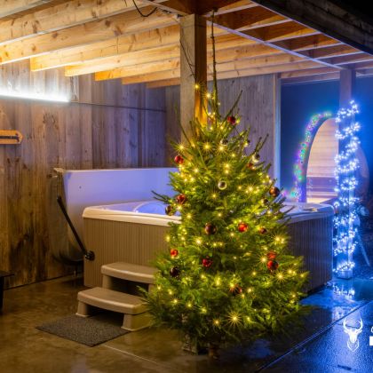 Vier kerst en nieuwjaar in Chalet Faro Durbuy met sfeervolle kerstverlichting